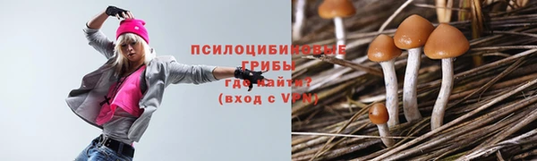 прущий лед Аркадак