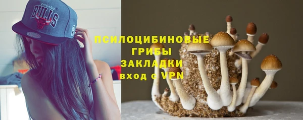 прущий лед Армянск
