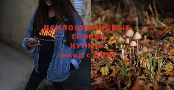прущий лед Армянск